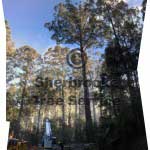 grants-pano