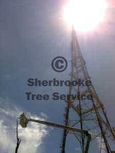 18M Travel Tower Hire PNF