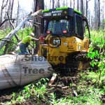 dse d4 winching some logs out of the gully dse d4 winching some logs out of the gully