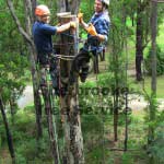 Alex and Joe Pole Top Rescue