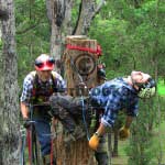 Pole Rescue
