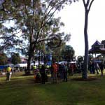 The masters tree climbing competition about to being