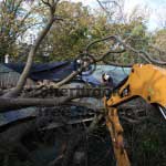 storm damaged tree work