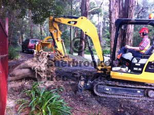 excavator tree grab is useful for storm damage cleanups