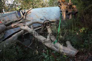 excavator loads wood belgrave