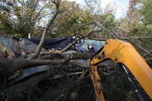 storm damaged tree work